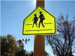 Traffic Safety 